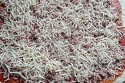 Italienischer Pizzateig 145