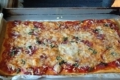 Italienischer Pizzateig 200