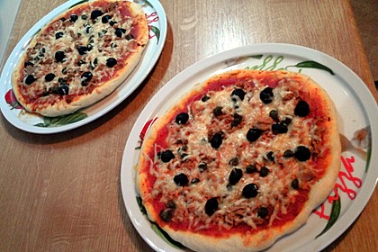 Italienischer Pizzateig 196