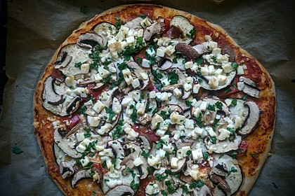 Italienischer Pizzateig 72