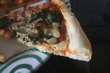 Italienischer Pizzateig 274