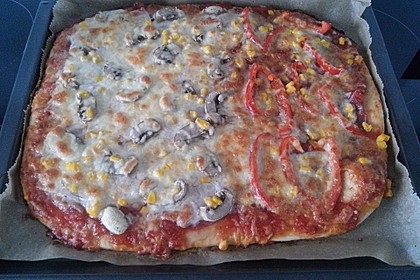 Italienischer Pizzateig 119