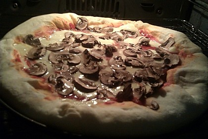 Italienischer Pizzateig 73