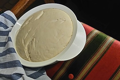 Italienischer Pizzateig 112