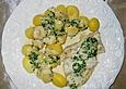 Schellfisch mit Kressesauce