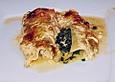 Feuermohns gef&uuml;llte Lachs Spinat Cannelloni
