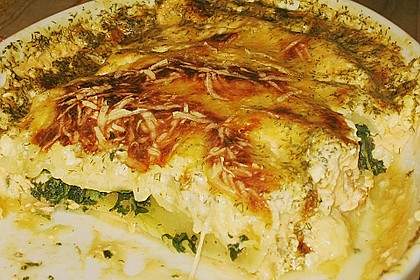 Feuermohns gefüllte Lachs Spinat Cannelloni 6