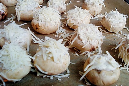 Gefüllte Champignons 6