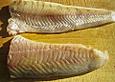 Seelachsfilet auf buntem Gem&uuml;se