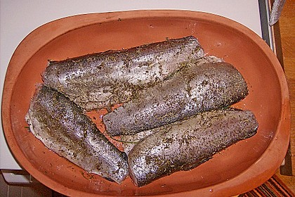 Ged&uuml;nstete Forellen mit Reis und Spinat - Sauce