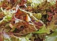 Honig - Knoblauch - Salatsauce mit Balsamicoessig (f&uuml;r herbe, nussige Salate)