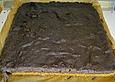 Mohnblechkuchen Troick