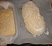 Zwiebel - Chilibrot (Bild)