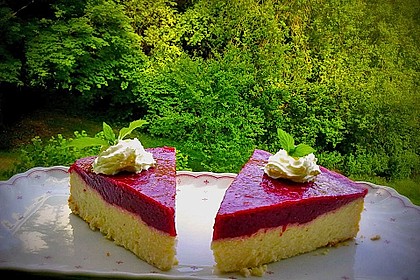 Topfenkuchen ohne Boden 28