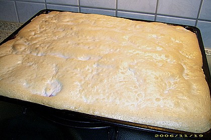 Pflaumen - Baiser - Kuchen