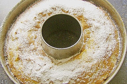 Apfelbiskuit 46