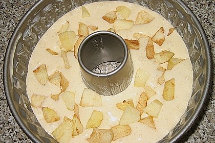 Apfelbiskuit 47