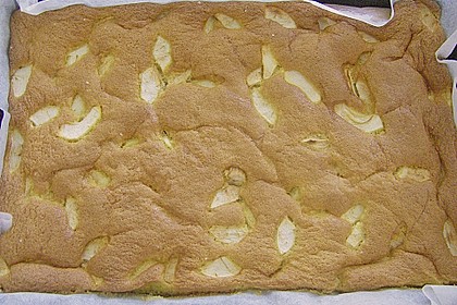 Apfelbiskuit 81