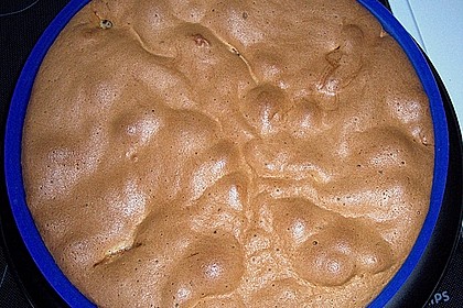 Apfelbiskuit 17
