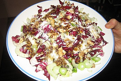 Radicchio - Fenchel - Salat 16