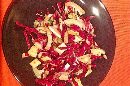 Radicchio - Fenchel - Salat 17