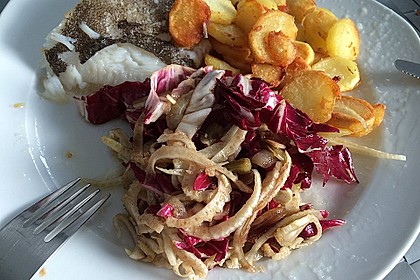 Radicchio - Fenchel - Salat 13
