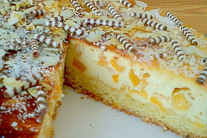 Käsekuchen mit Mandarinchen 19