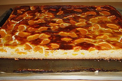 Käsekuchen mit Mandarinchen 59