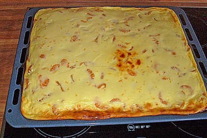 Käsekuchen mit Mandarinchen 40
