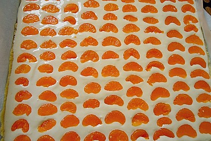 Käsekuchen mit Mandarinchen 37