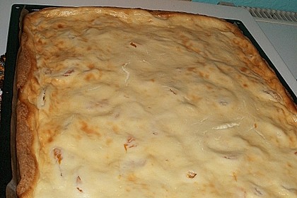 Käsekuchen mit Mandarinchen 73