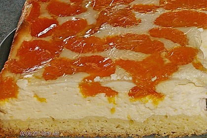 Käsekuchen mit Mandarinchen 22
