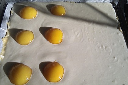 Käsekuchen mit Mandarinchen 82