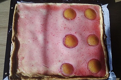 Käsekuchen mit Mandarinchen 86