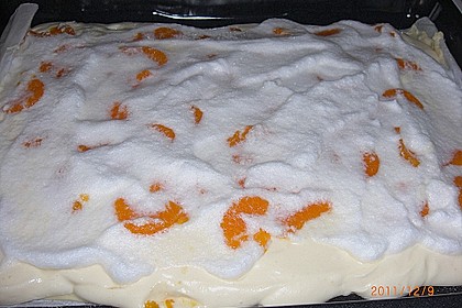 Käsekuchen mit Mandarinchen 87