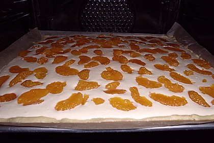 Käsekuchen mit Mandarinchen 75