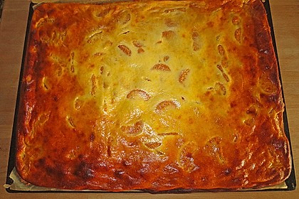 Käsekuchen mit Mandarinchen 68