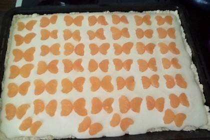 Käsekuchen mit Mandarinchen 1