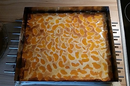 Käsekuchen mit Mandarinchen 29