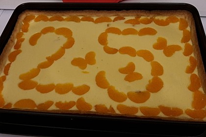 Käsekuchen mit Mandarinchen 15