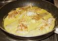 Fisch in Orangen - Sahne - Sauce