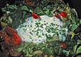 Mangoldsalat italienisch
