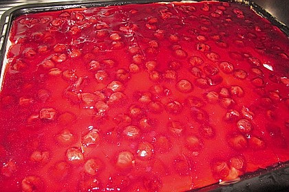 Kirsch - Schmandkuchen 13