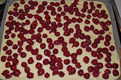 Kirsch - Schmandkuchen 23