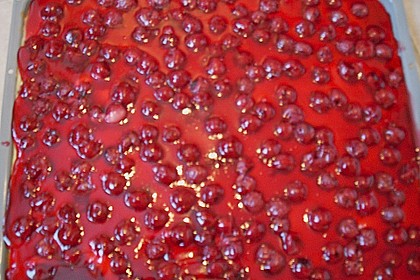 Kirsch - Schmandkuchen 26