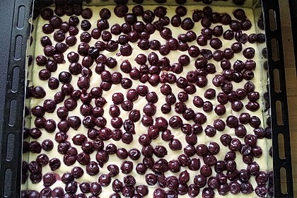 Kirsch - Schmandkuchen 22