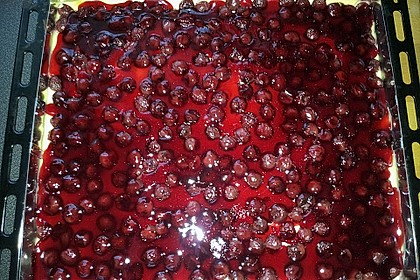 Kirsch - Schmandkuchen 21