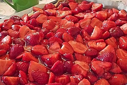 Kirsch - Schmandkuchen 14