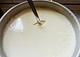 Joghurt - selbst gemacht