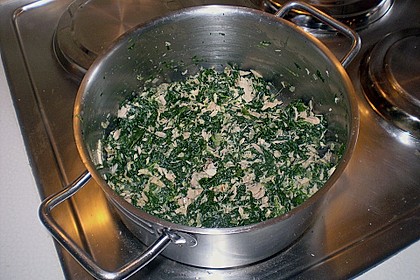 Cannelloni mit Spinat - Thunfischf&uuml;lle 2